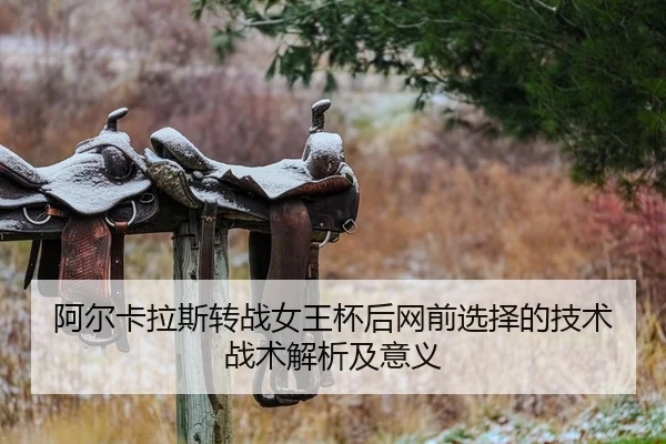 a-er-ka-la-si-zhuan-zhan-nv-wang-bei-hou-wang-qian-xuan-ze-de-ji-shu-zhan-shu-jie-xi-ji-yi-yi-2-305.jpg