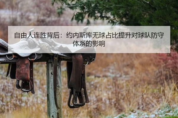 自由人连胜背后：约内斯库无球占比提升对球队防守体系的影响