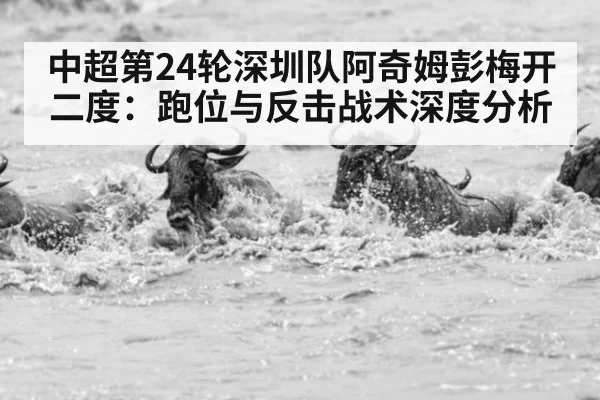 中超第24轮深圳队阿奇姆彭梅开二度:跑位与反击战术深度分析